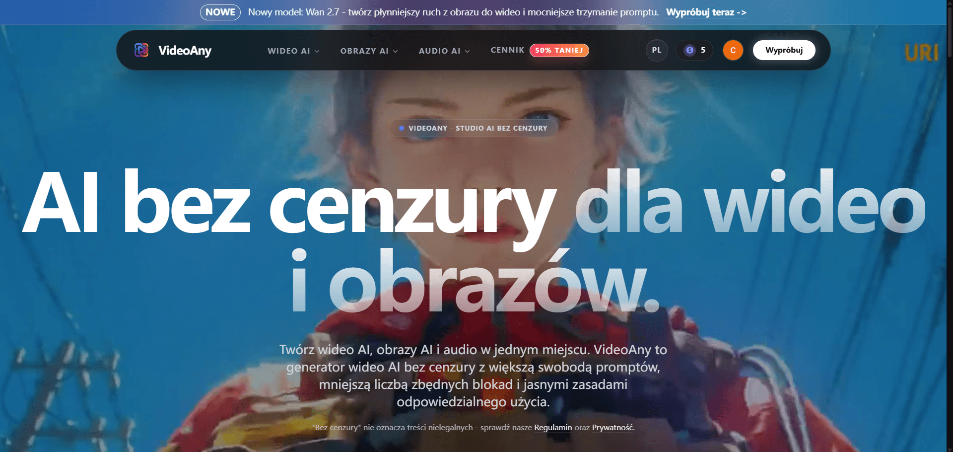 VideoAny PL screenshot